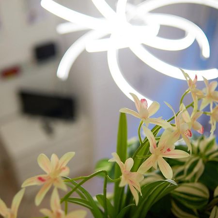 Isola Brera Duomo - Antica Atmosfera - Lovable Cozy Apartment 밀라노 외부 사진