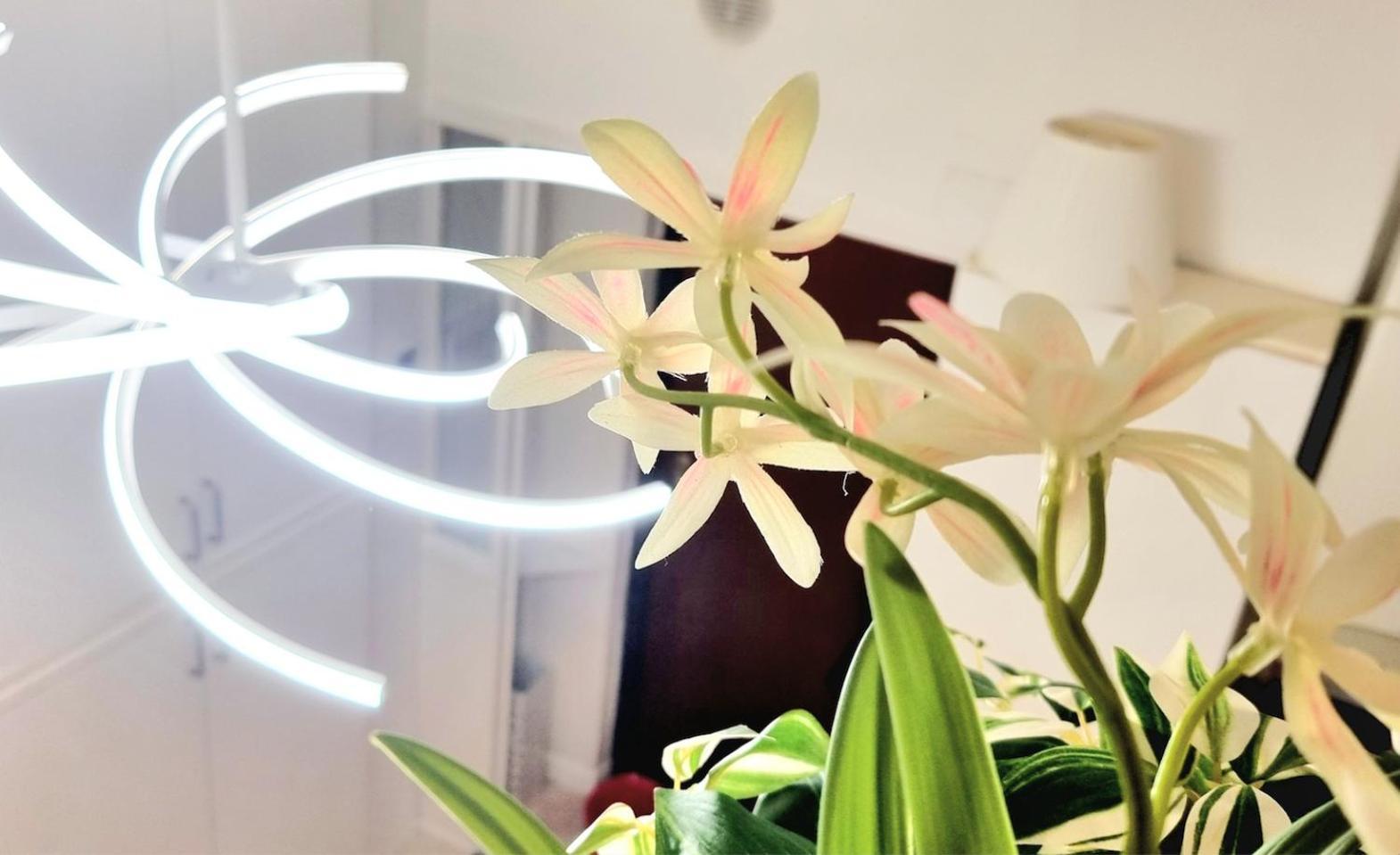 Isola Brera Duomo - Antica Atmosfera - Lovable Cozy Apartment 밀라노 외부 사진