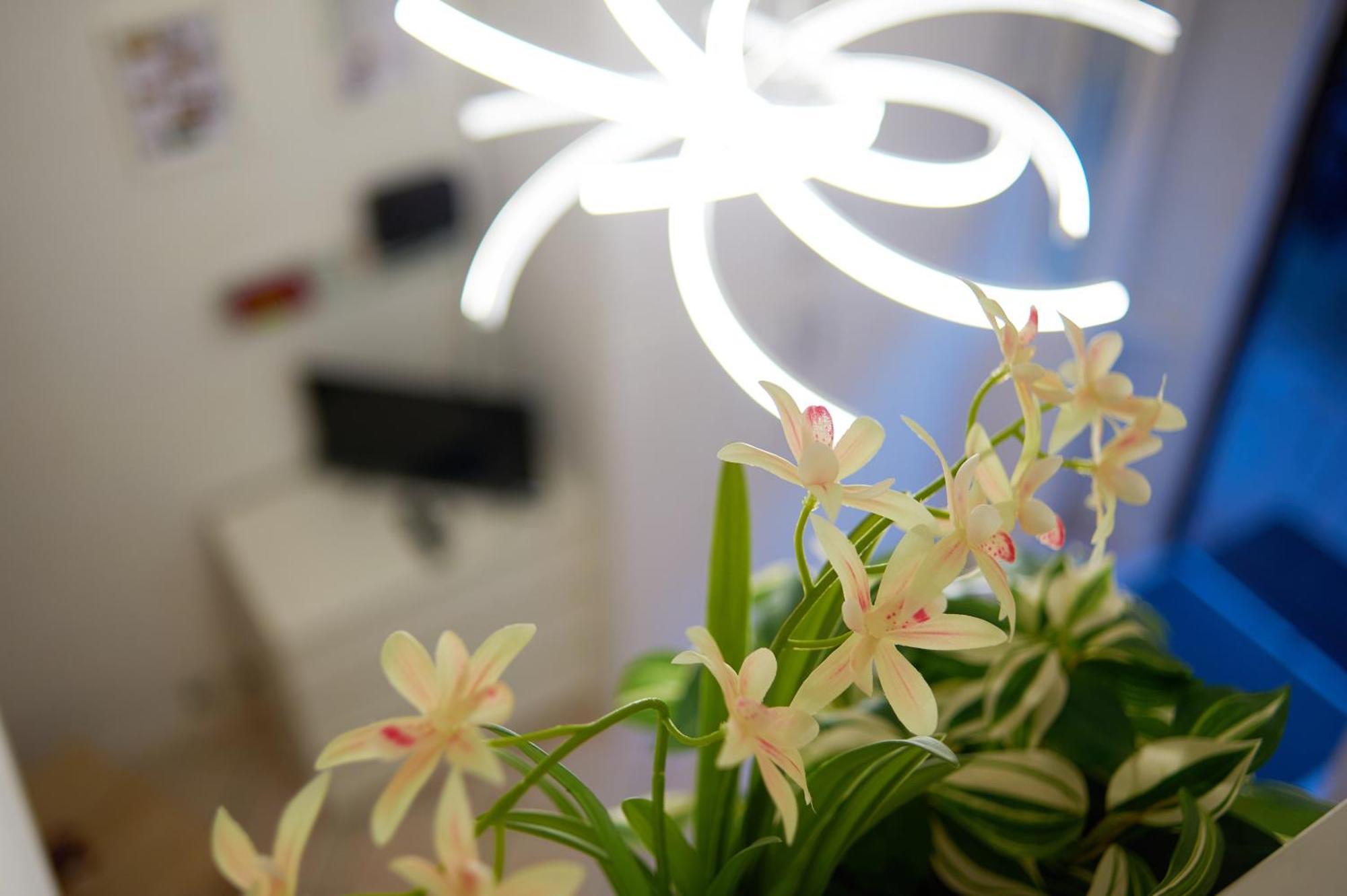Isola Brera Duomo - Antica Atmosfera - Lovable Cozy Apartment 밀라노 외부 사진